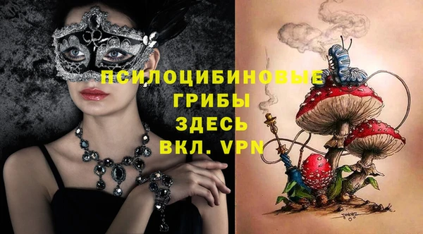дмт Горняк