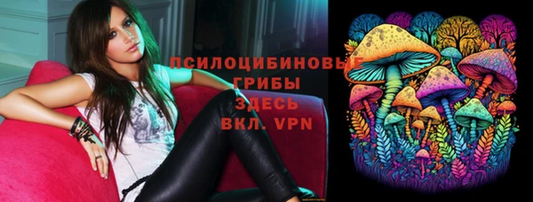 таблы Верея