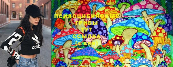 jwh Горно-Алтайск