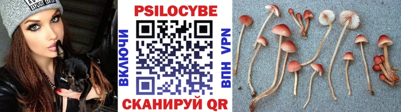 Галлюциногенные грибы Psilocybine cubensis  Данков 